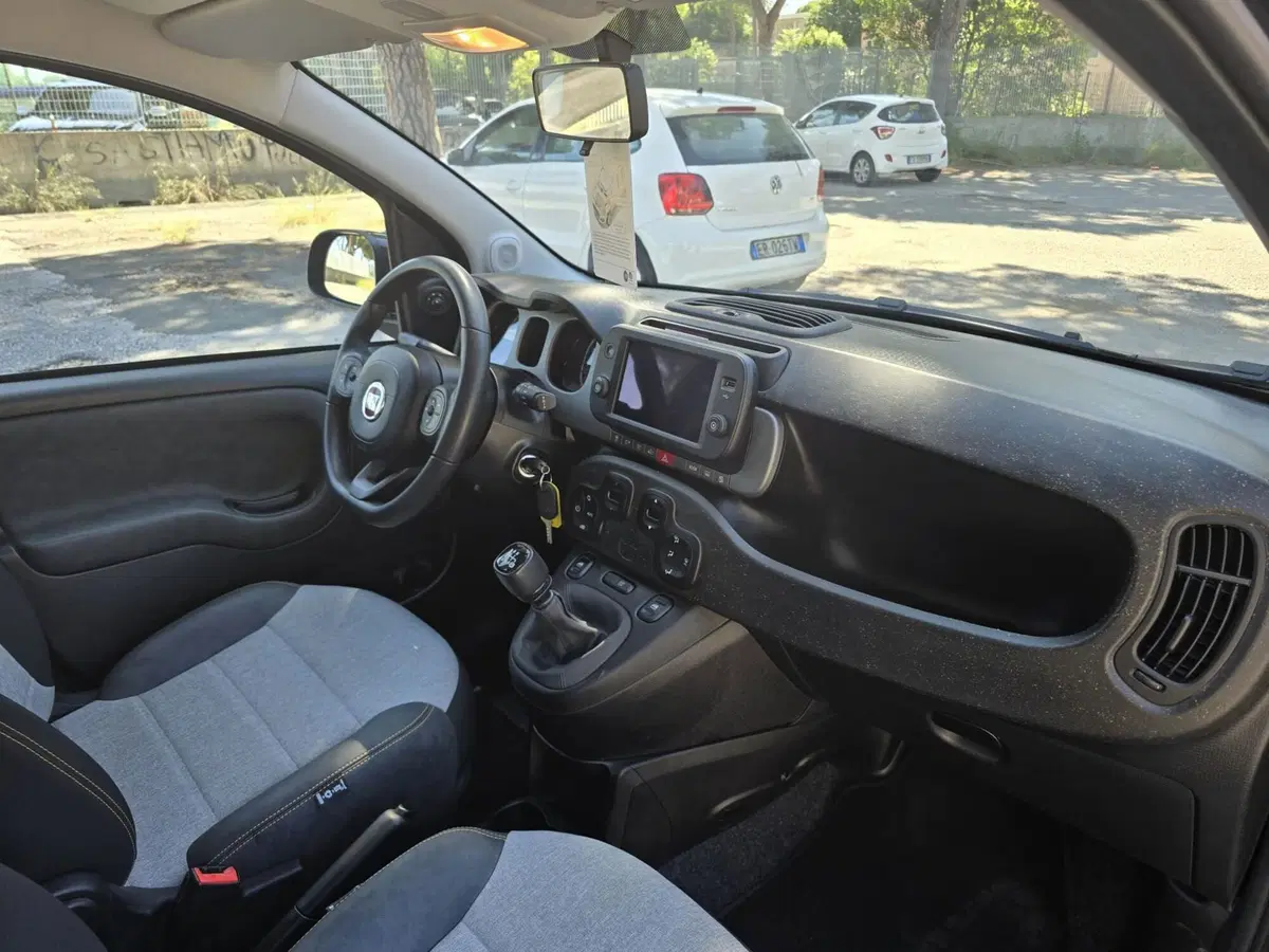 Fiat Panda Cross usata a Massa-Carrara (19)