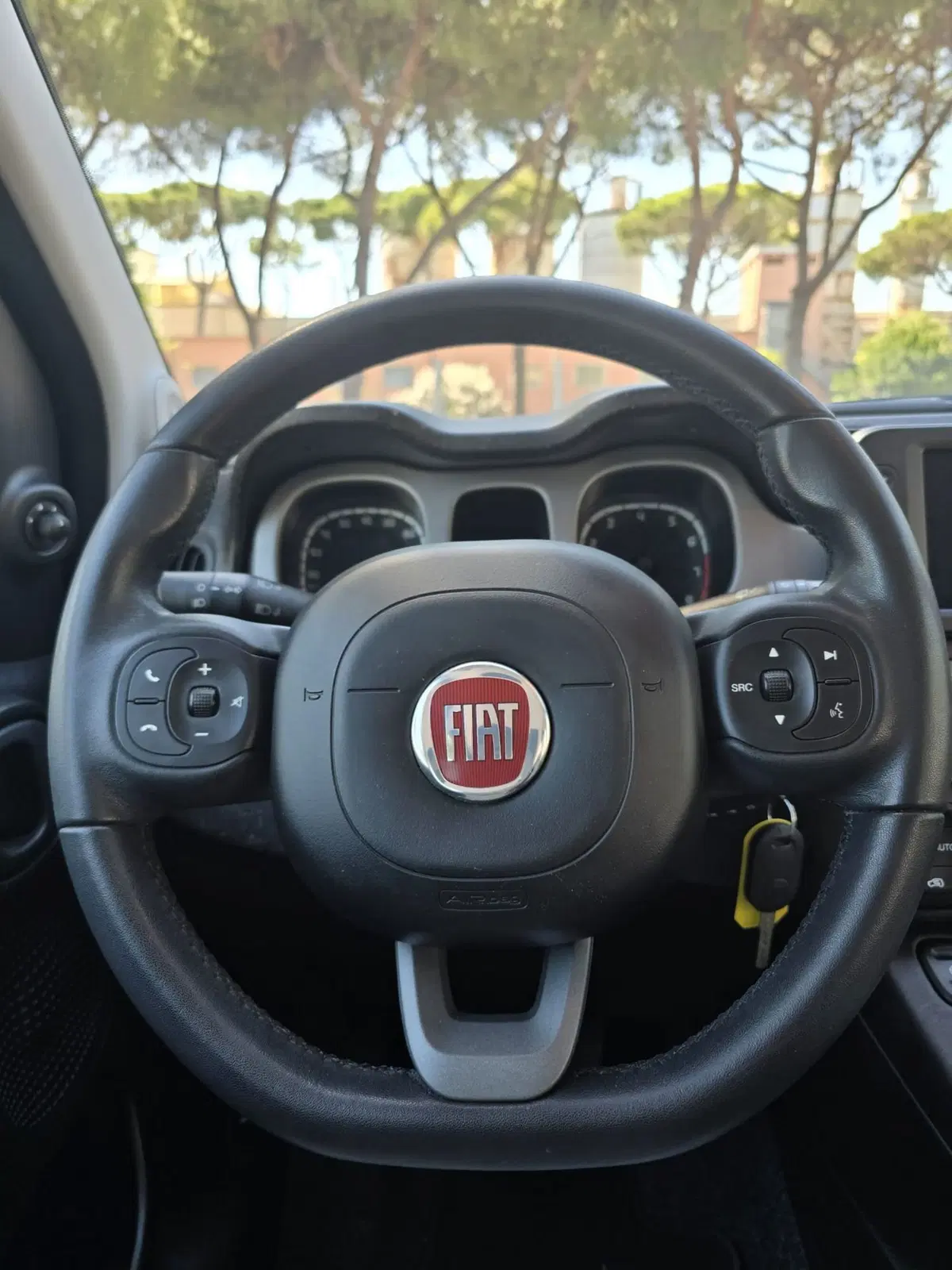 Fiat Panda Cross usata a Massa-Carrara (20)