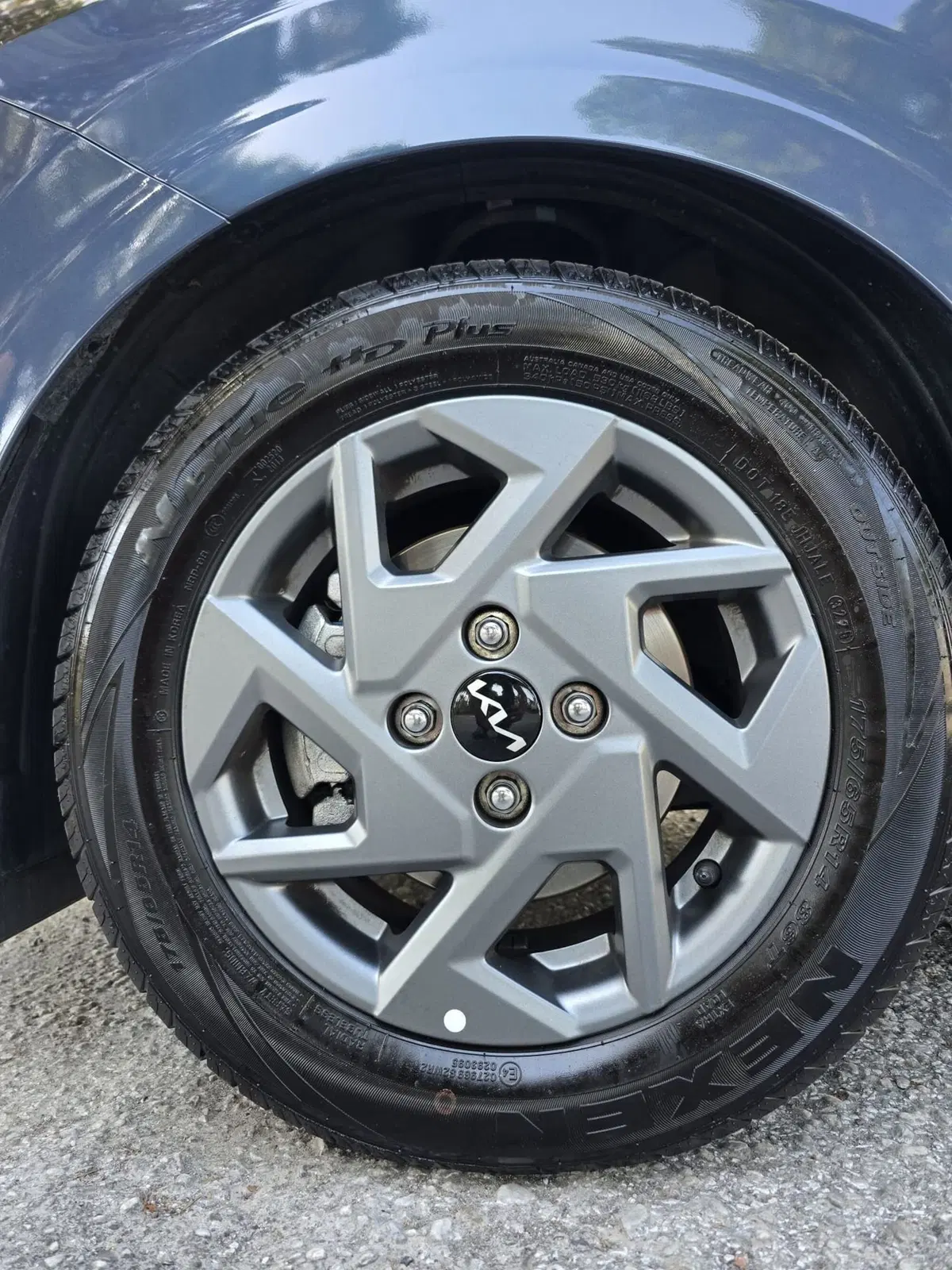 Kia Picanto usata a Massa-Carrara (18)