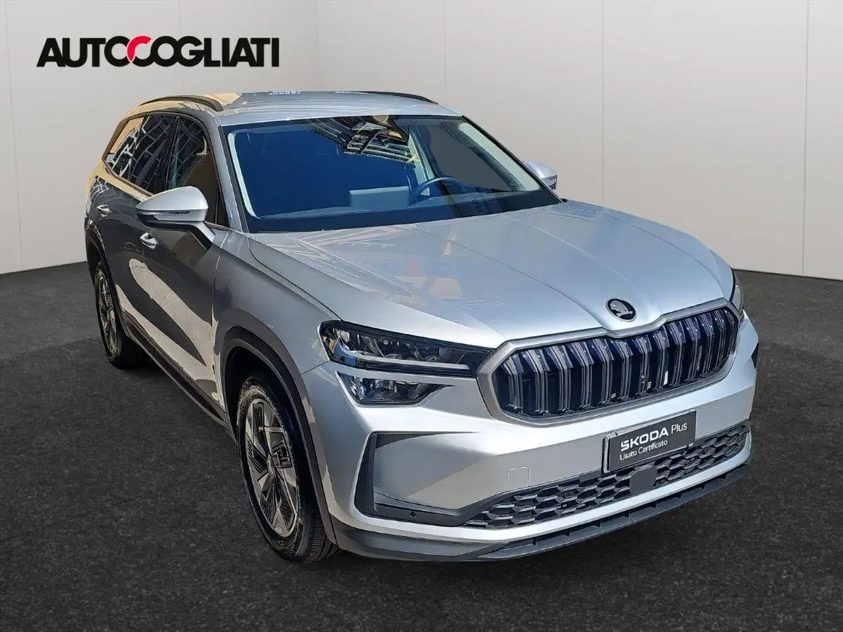 Skoda Kodiaq usata a Lecco (7)