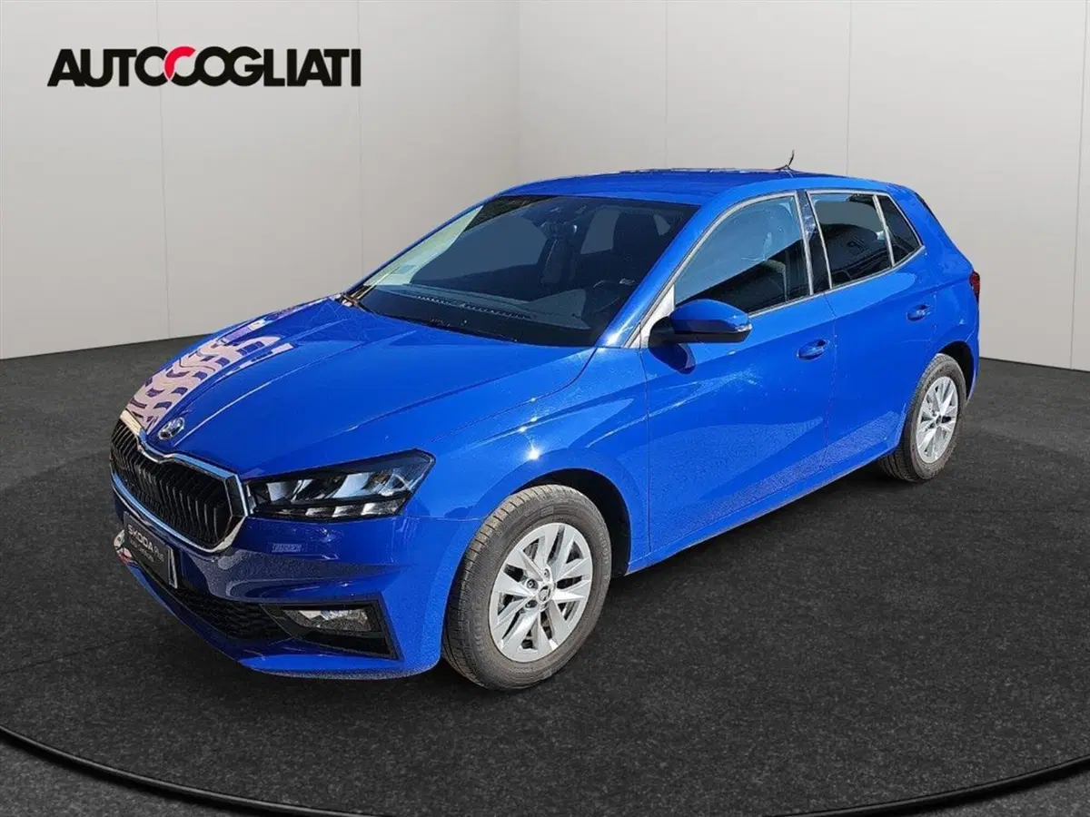 Skoda Fabia usata a Lecco
