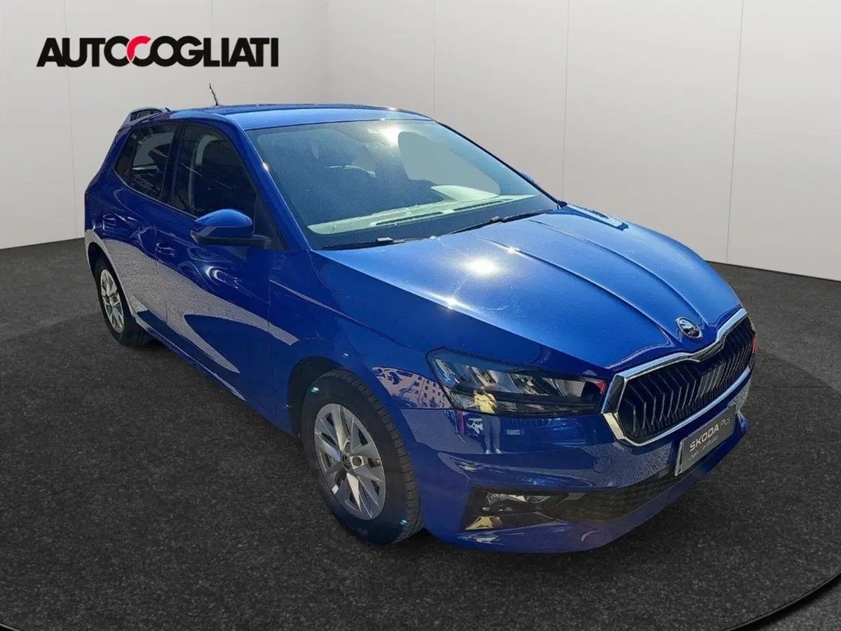 Skoda Fabia usata a Lecco (3)
