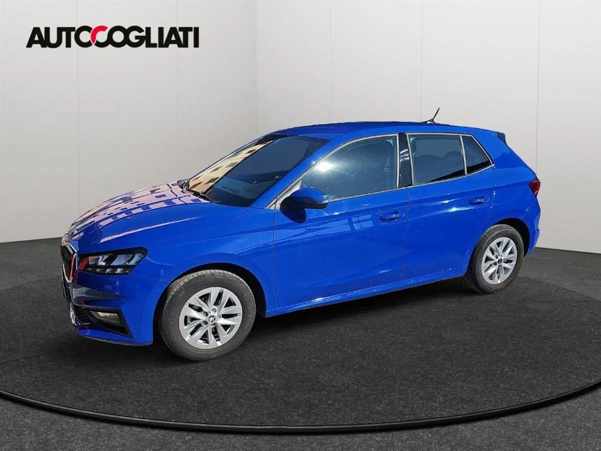 Skoda Fabia usata a Lecco (7)