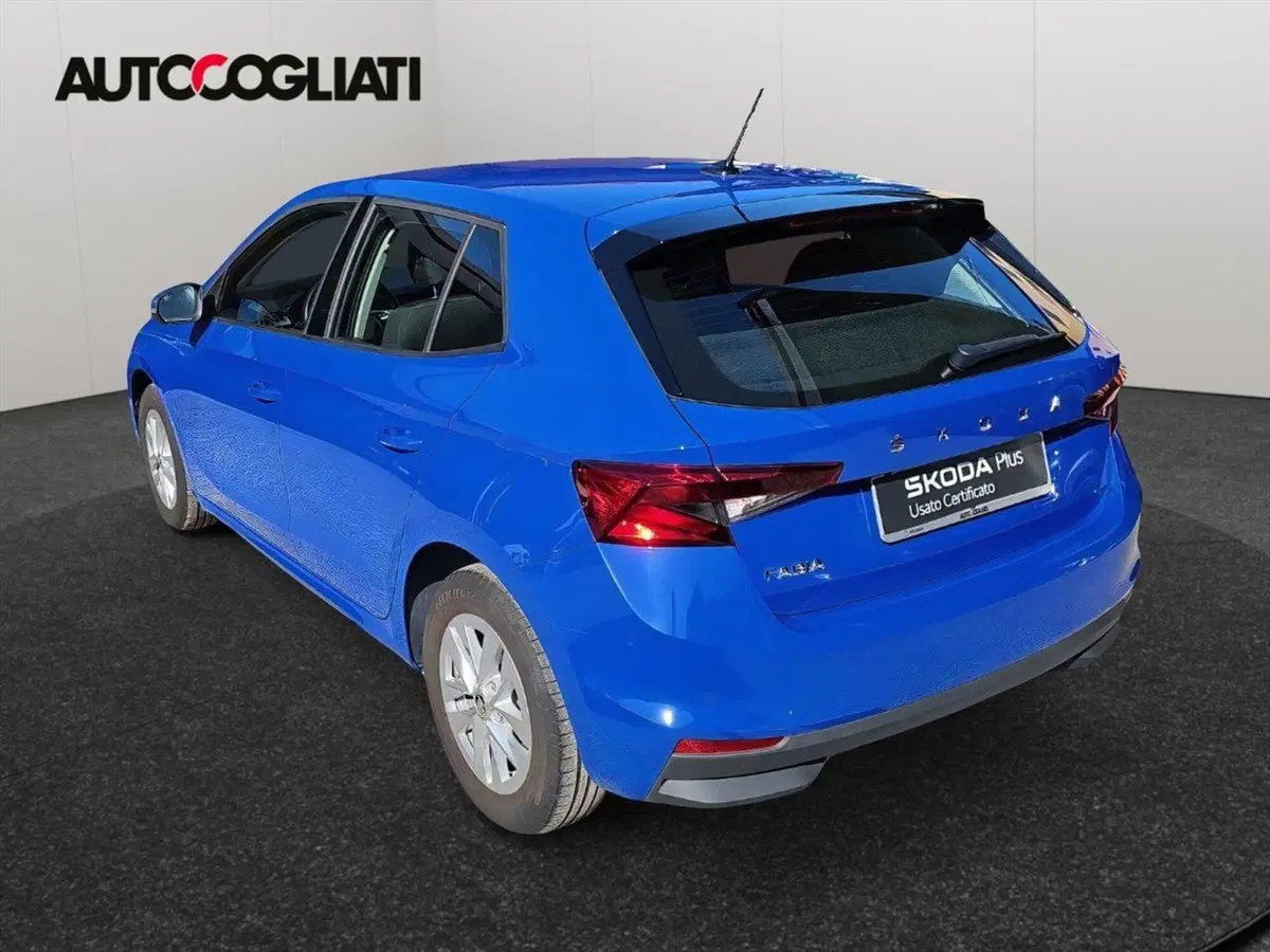 Skoda Fabia usata a Lecco (8)