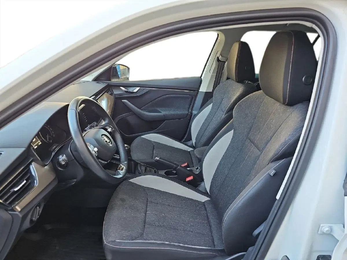 Skoda Kamiq usata a Lecco (11)