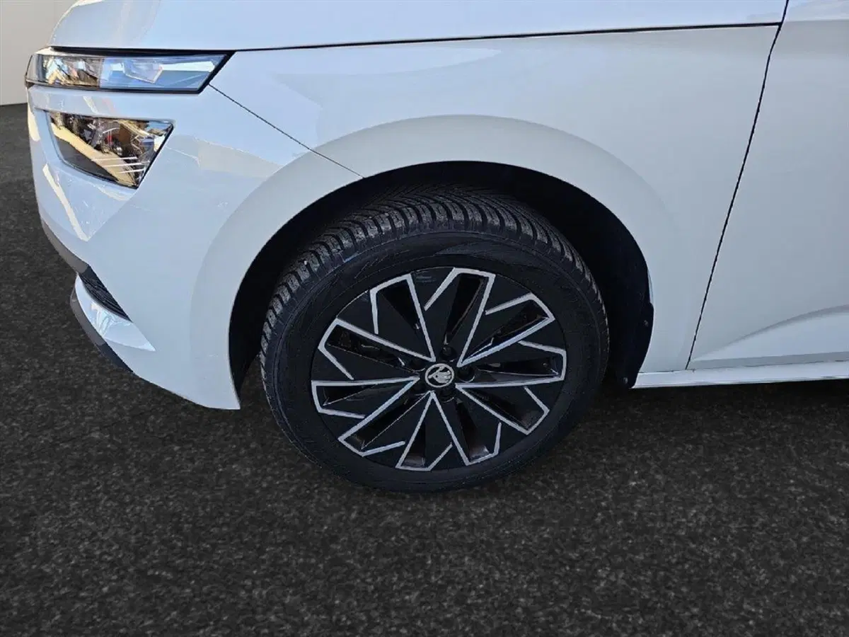 Skoda Kamiq usata a Lecco (17)