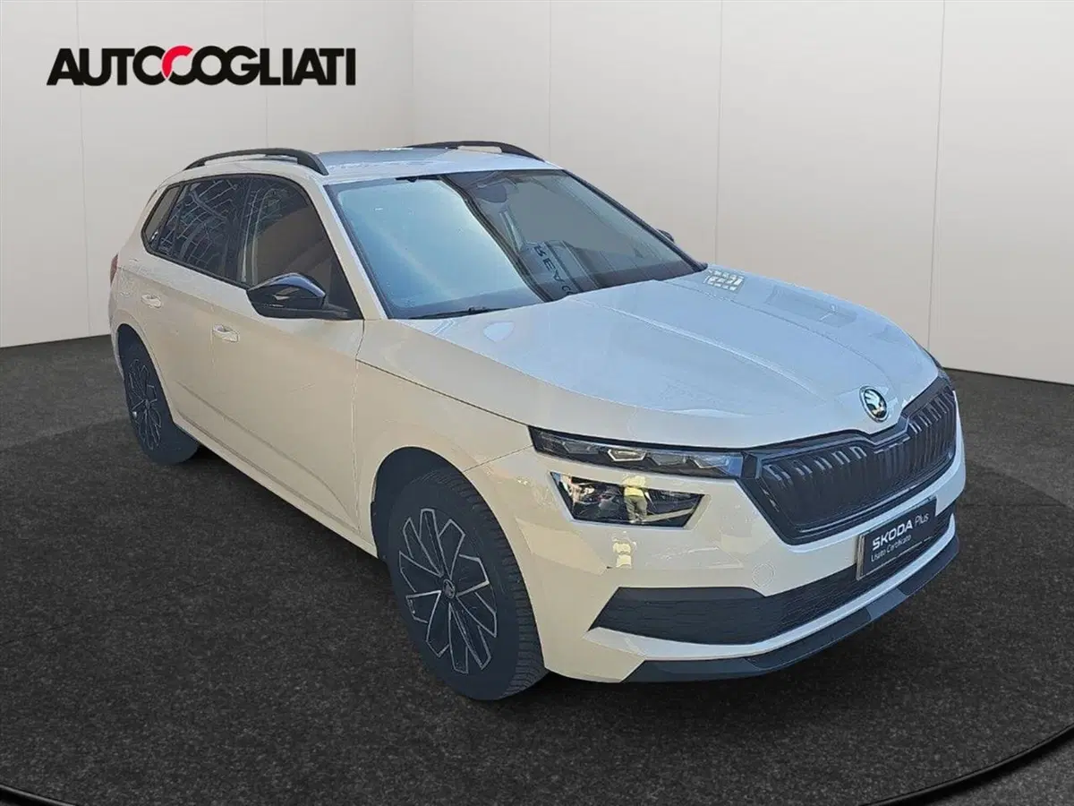 Skoda Kamiq usata a Lecco (3)