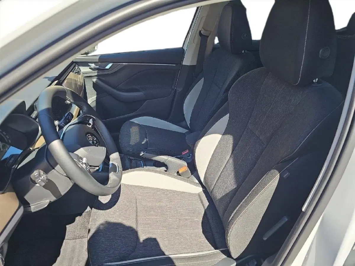 Skoda Kamiq usata a Lecco (11)