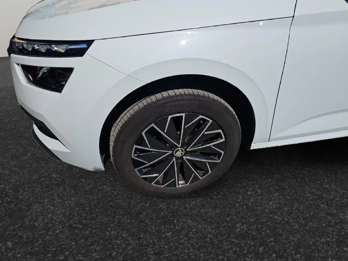 Skoda Kamiq usata a Lecco (18)