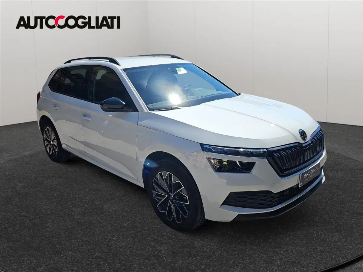 Skoda Kamiq usata a Lecco (3)