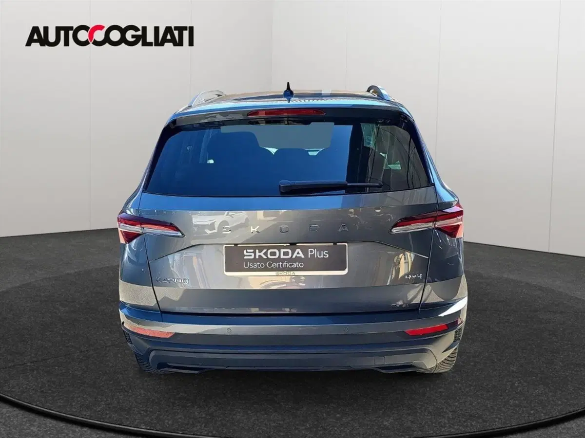 Skoda Karoq usata a Lecco (6)