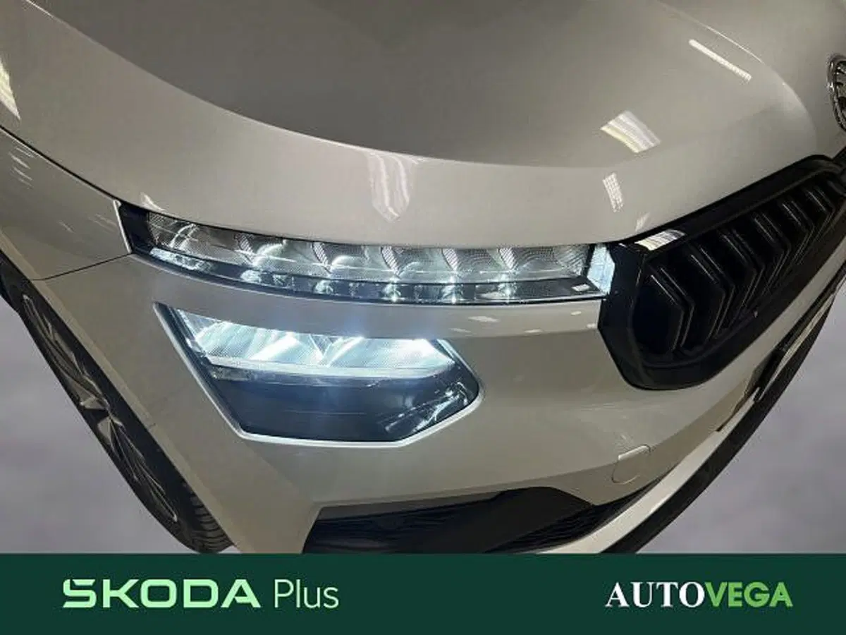 Skoda Kamiq usata a Vicenza (19)