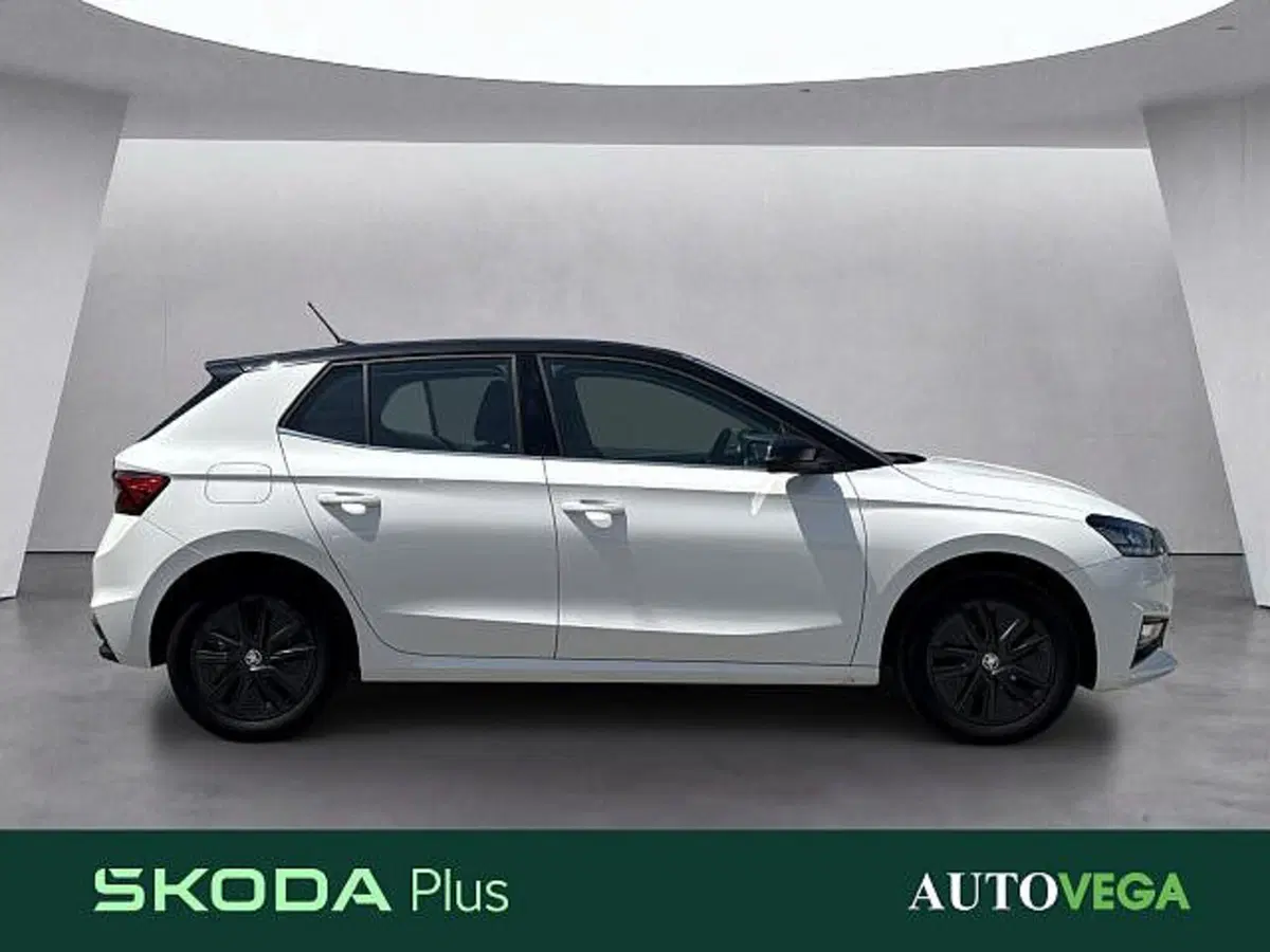 Skoda Fabia usata a Vicenza (3)