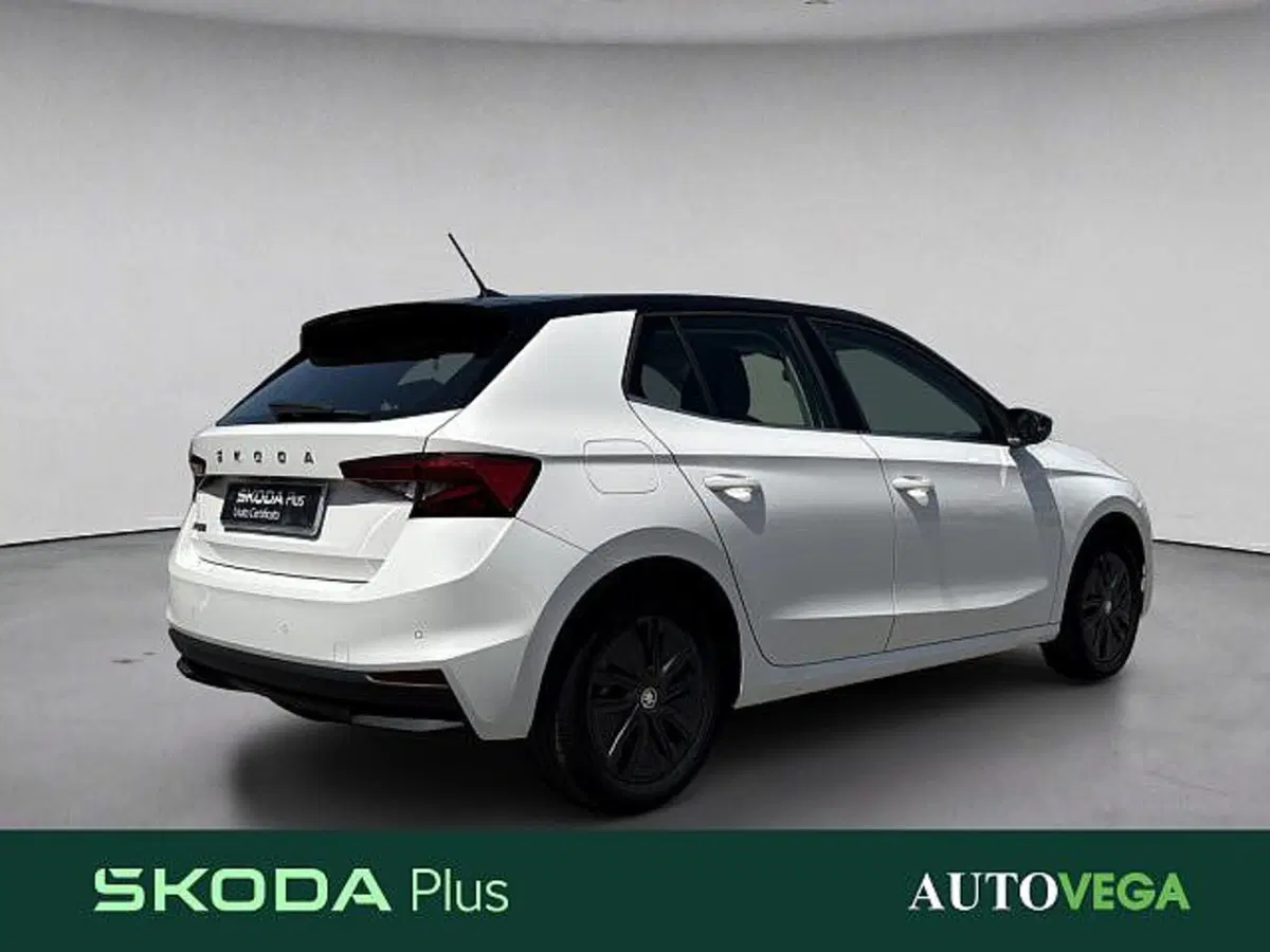Skoda Fabia usata a Vicenza (4)