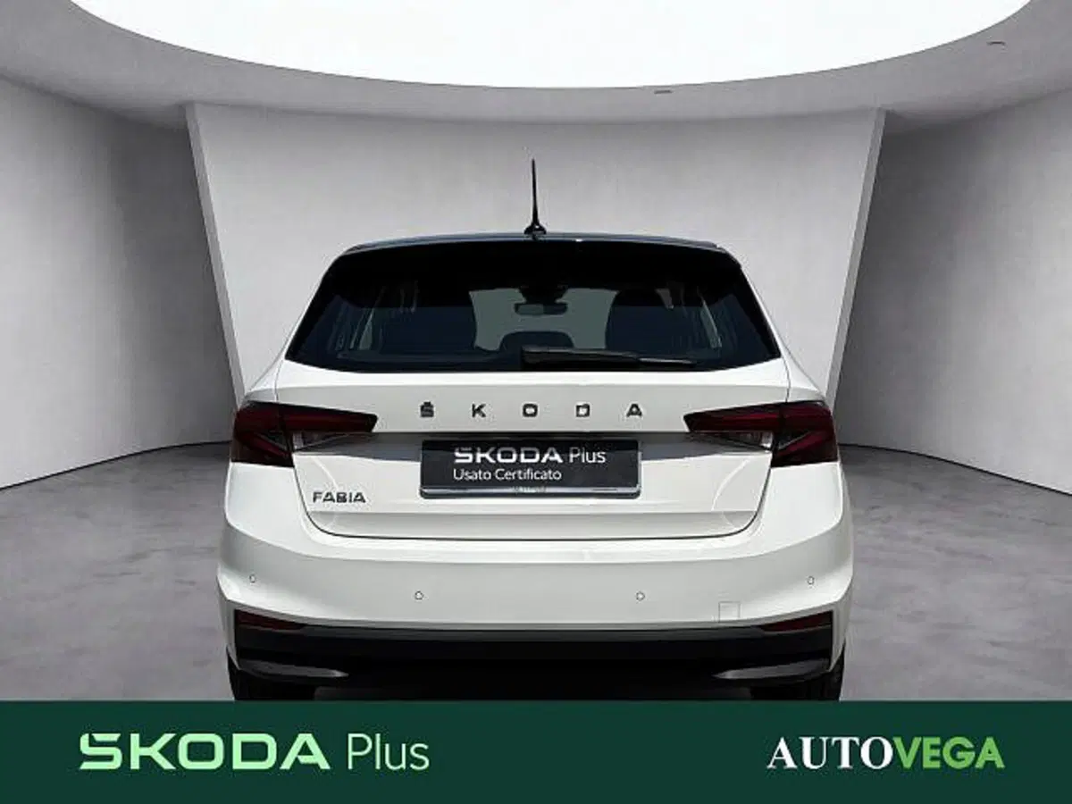 Skoda Fabia usata a Vicenza (5)