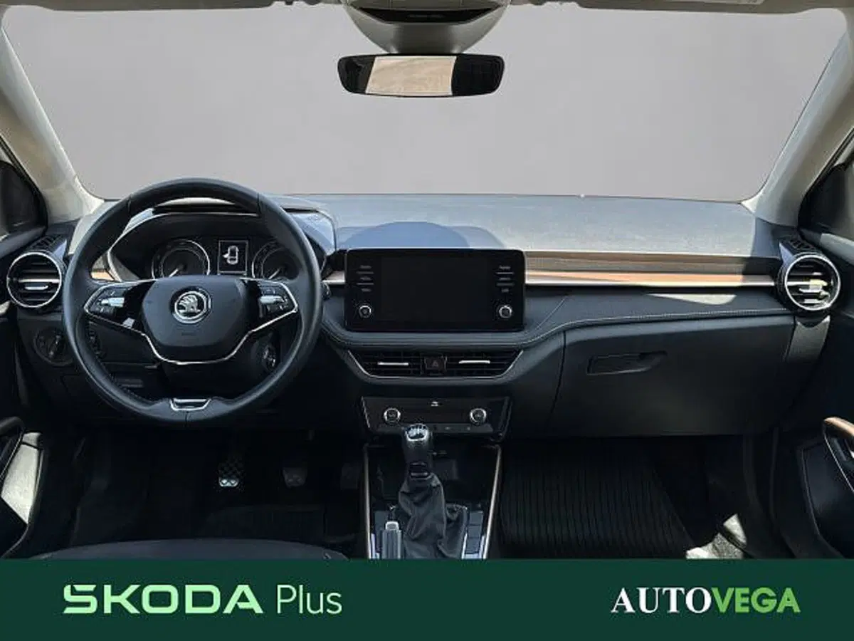 Skoda Fabia usata a Vicenza (8)