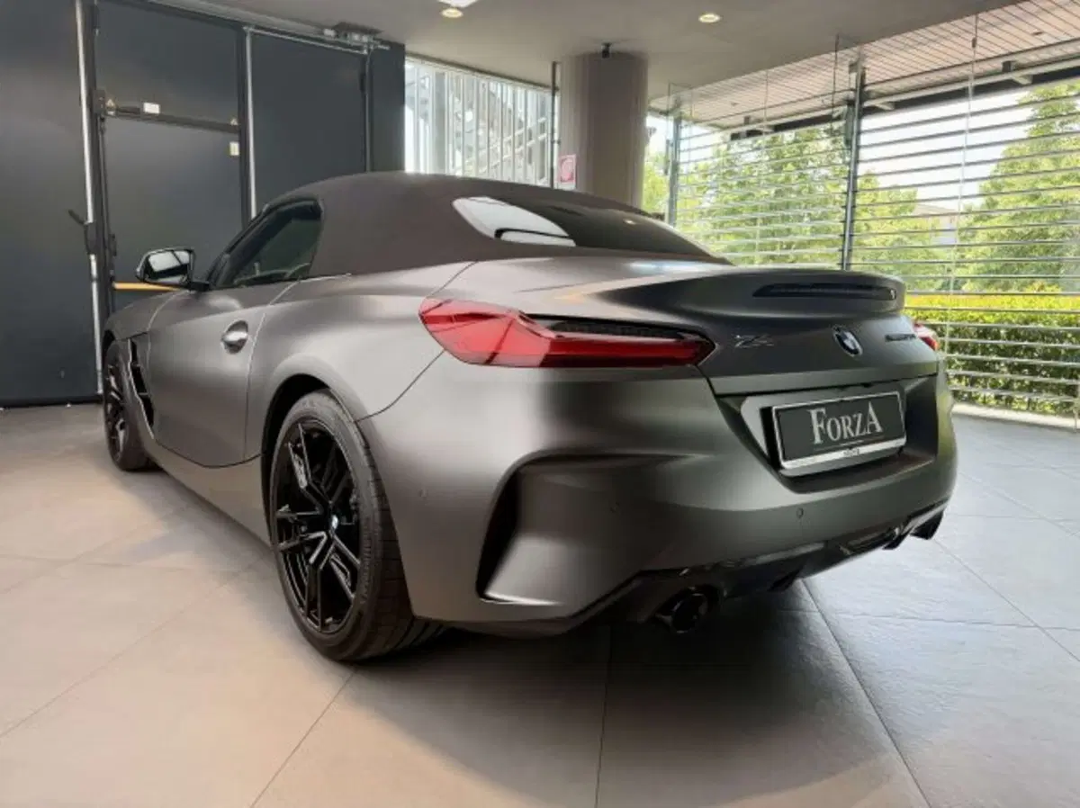 BMW Z4 Cabrio usata a Torino (7)