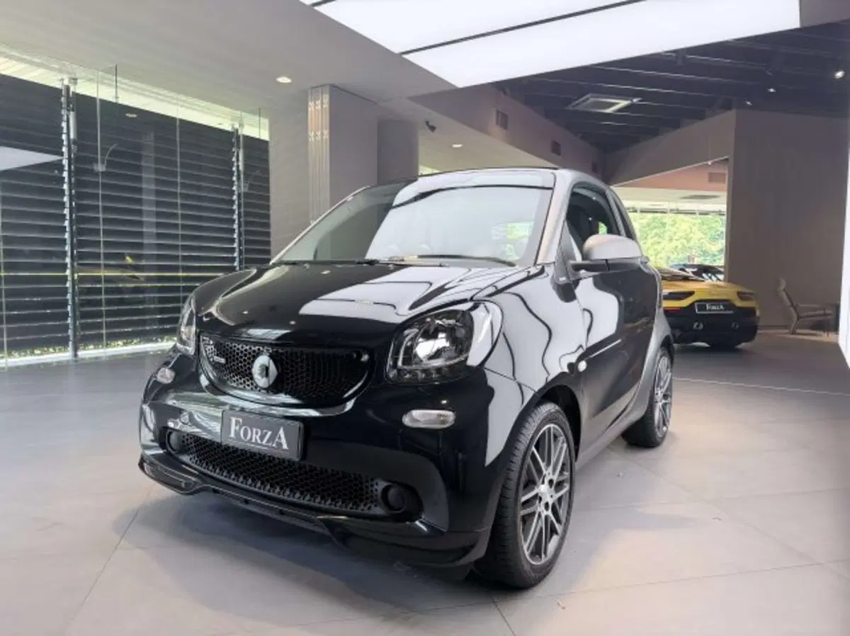 smart Fortwo usata a Torino