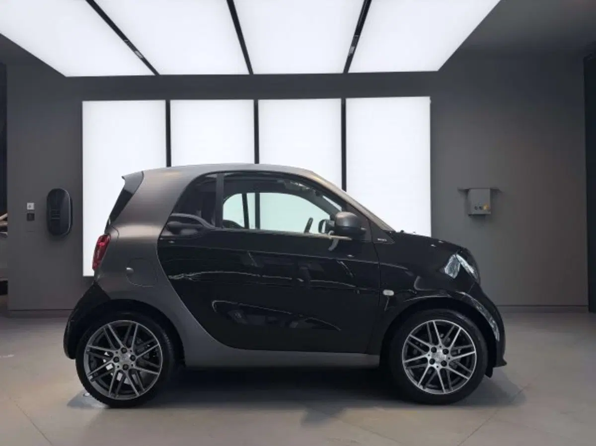 smart Fortwo usata a Torino (12)