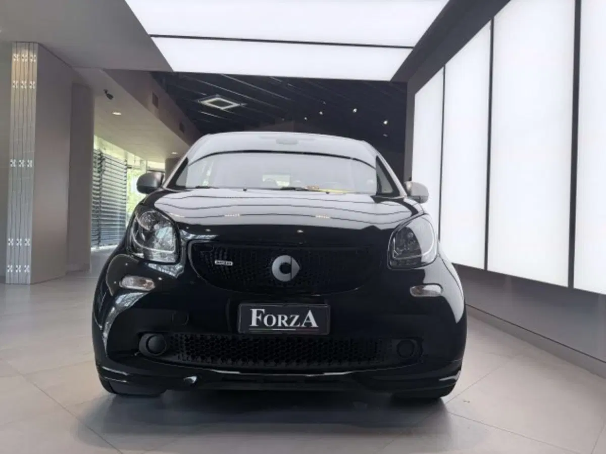 smart Fortwo usata a Torino (2)