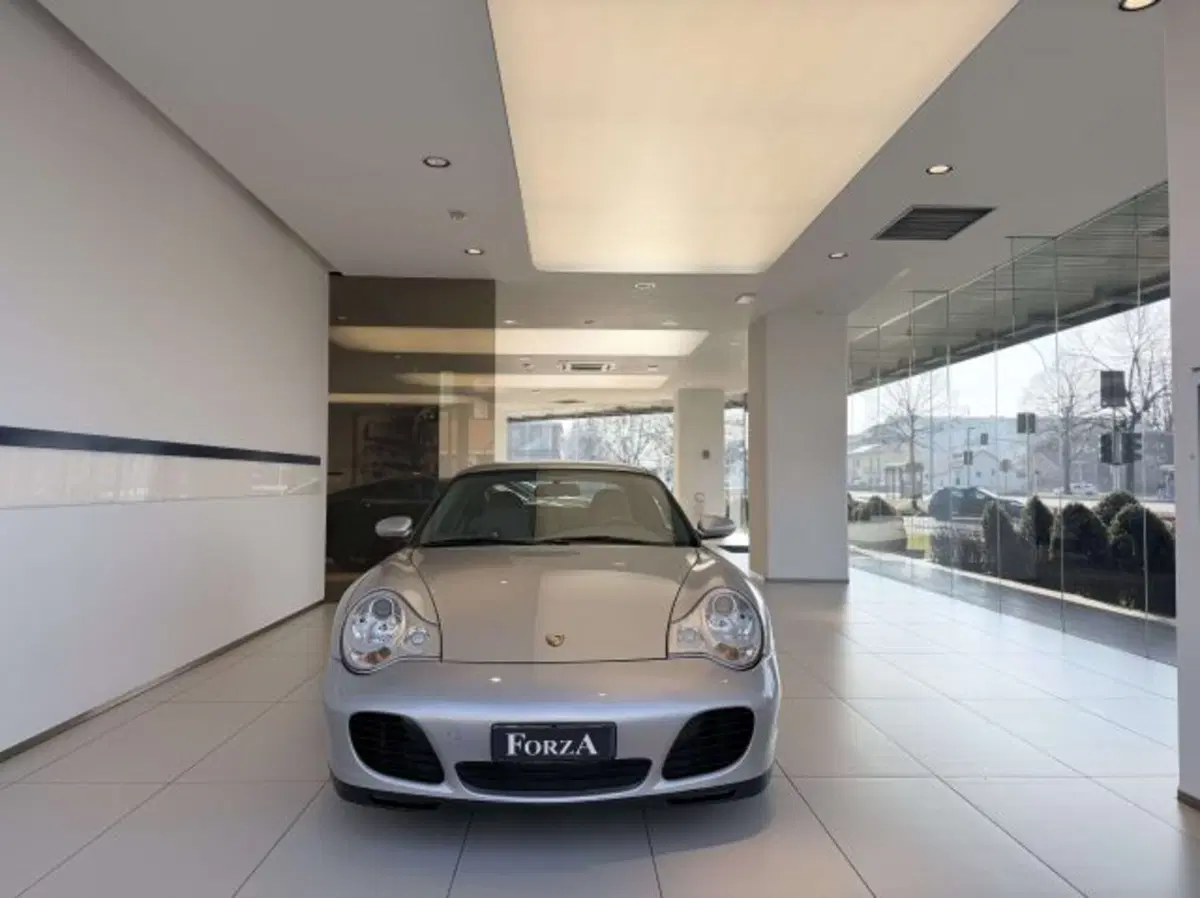 Porsche 911 Coupé usata a Torino (2)