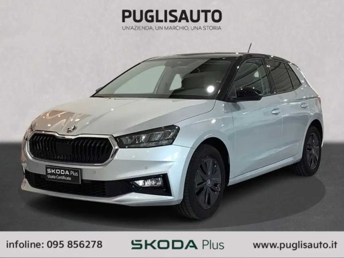 Skoda Fabia usata a Catania (3)