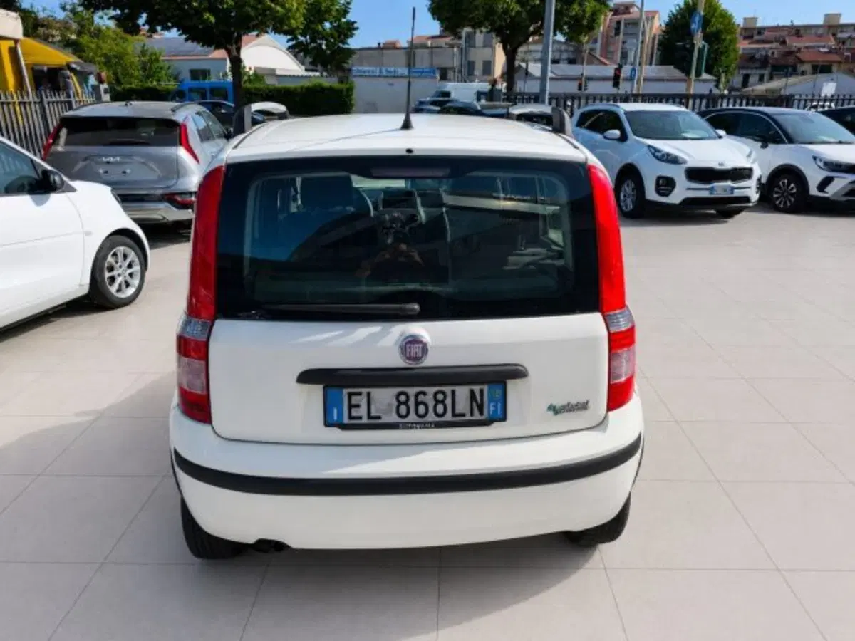 Fiat Panda usata a Firenze (6)