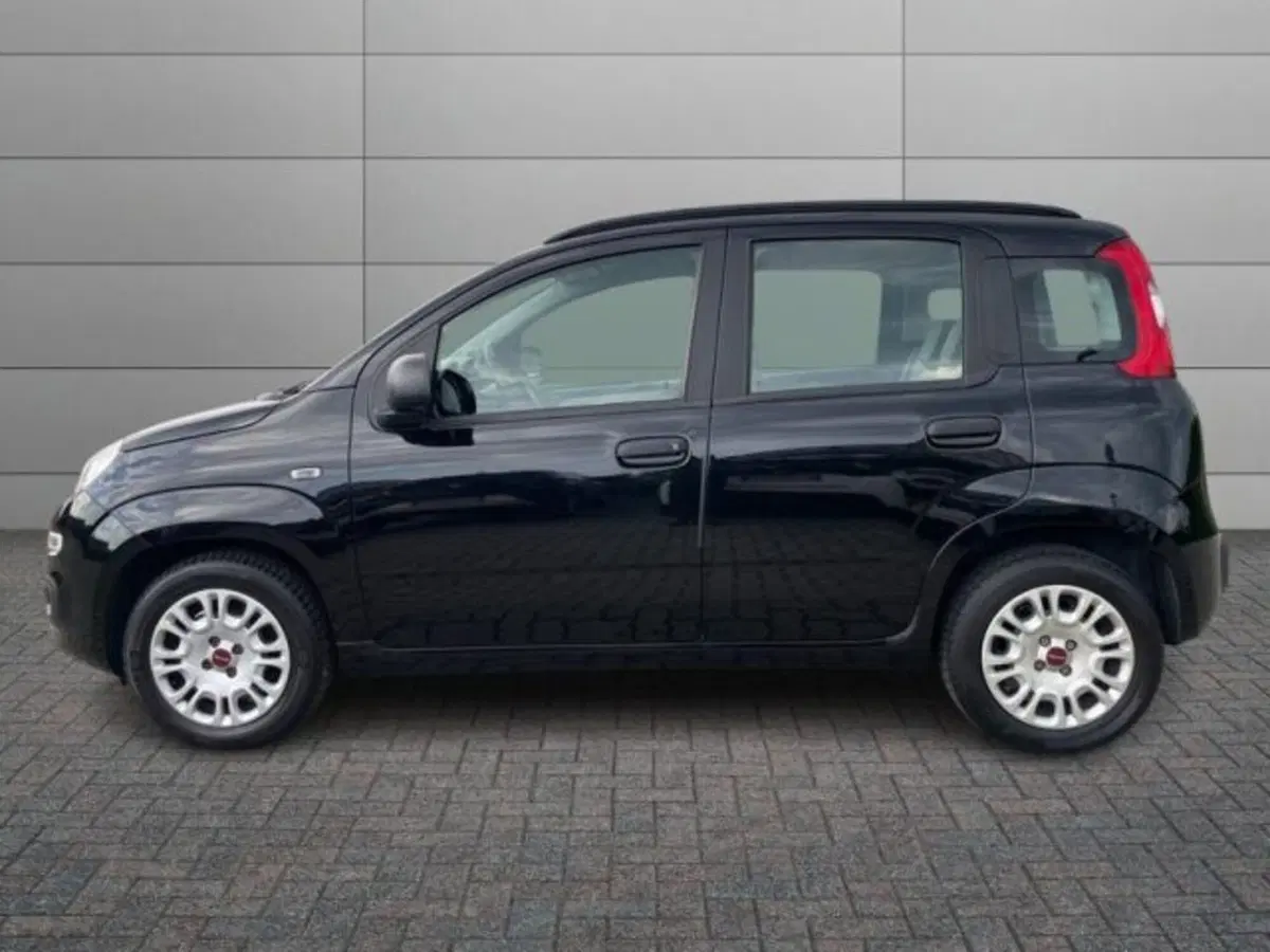 Fiat Panda usata a Vercelli (2)
