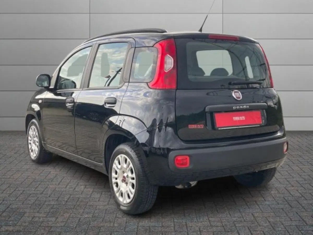 Fiat Panda usata a Vercelli (4)