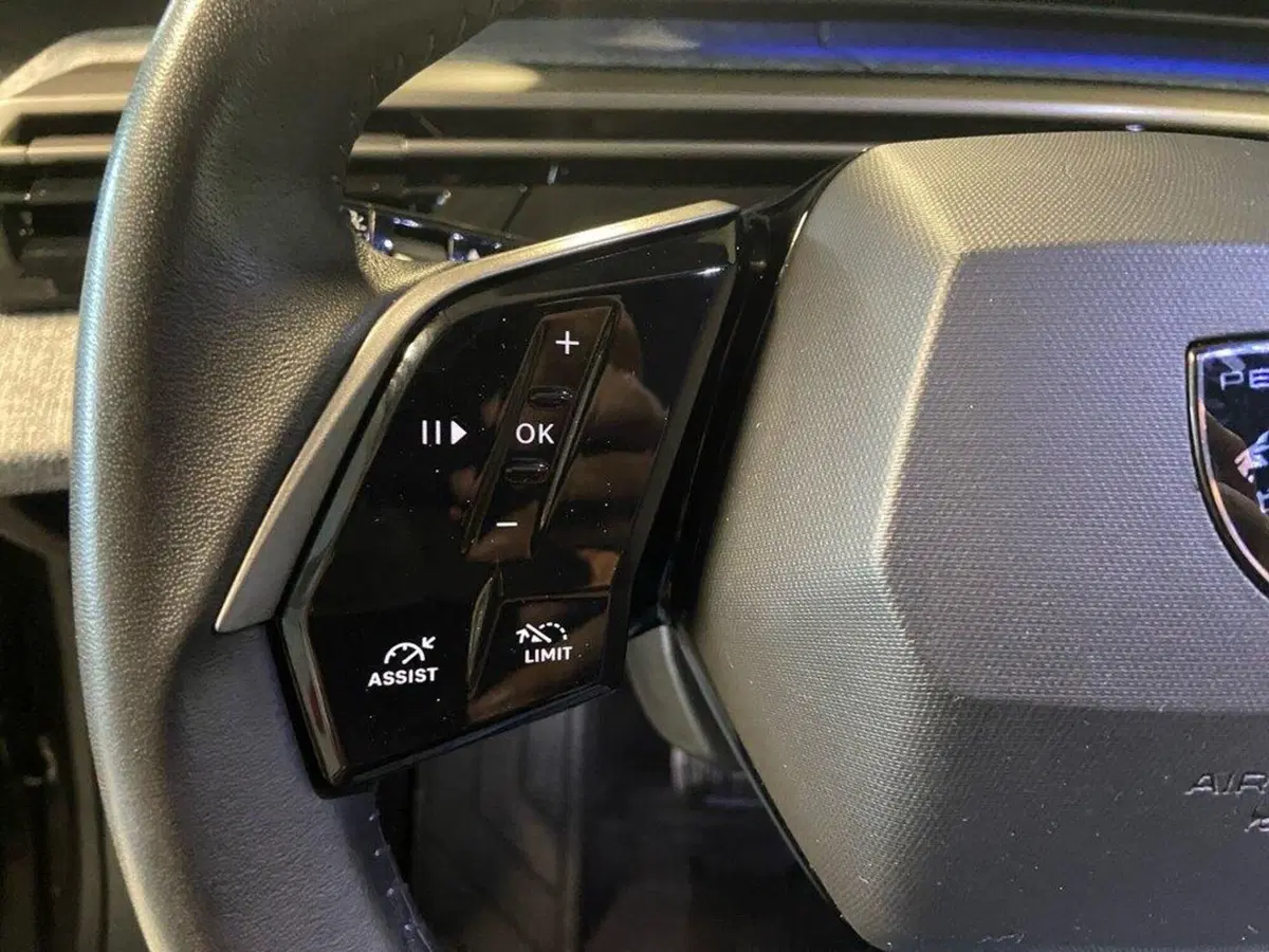 Peugeot 3008 usata a Torino (13)