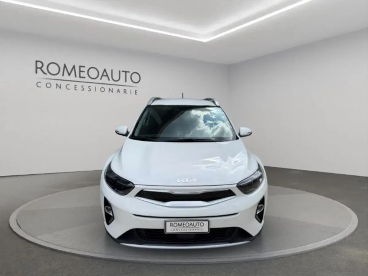 Kia Stonic usata a Perugia (11)