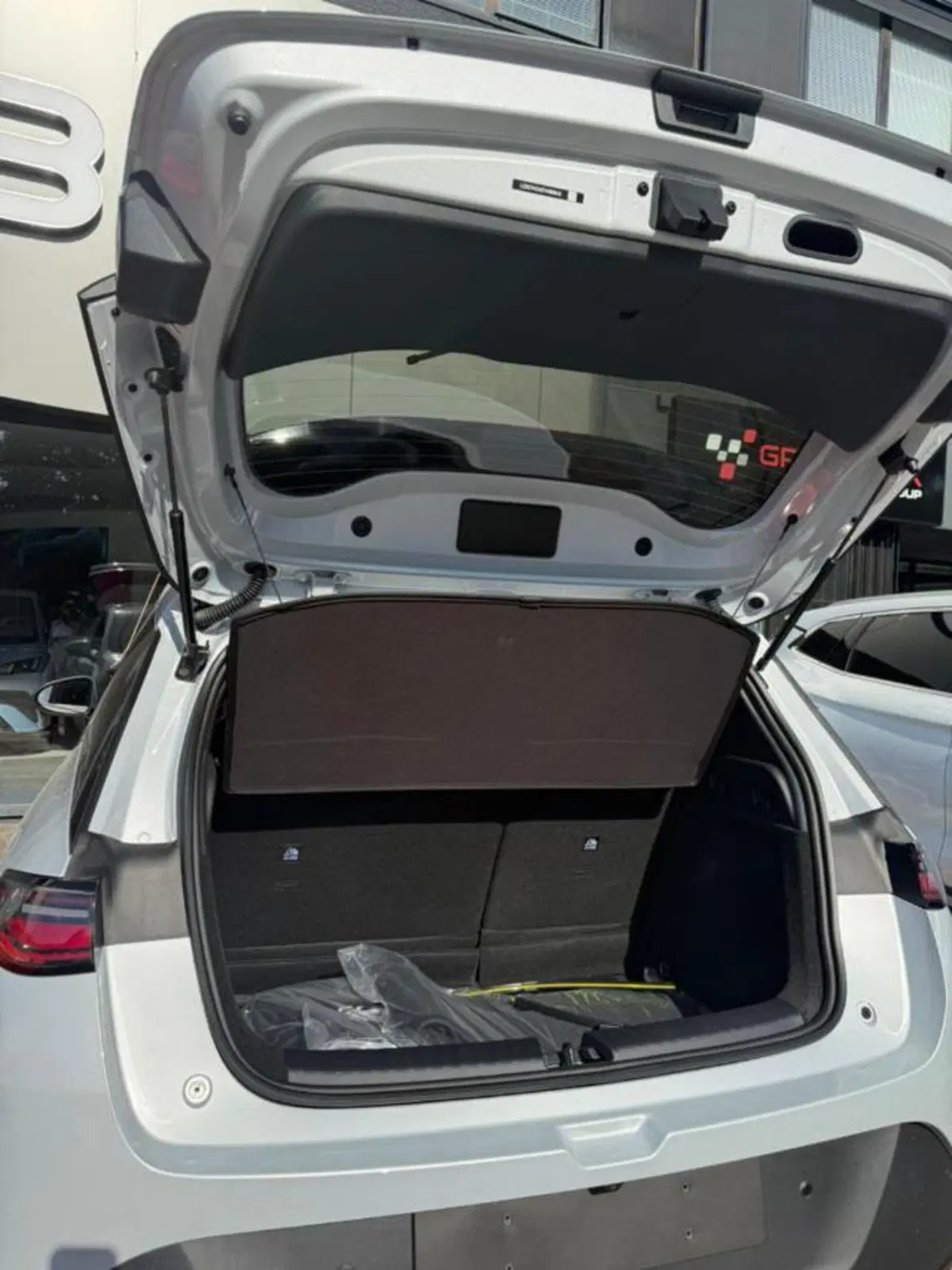 Byd Dolphin G DM-i nuova a Bologna (10)