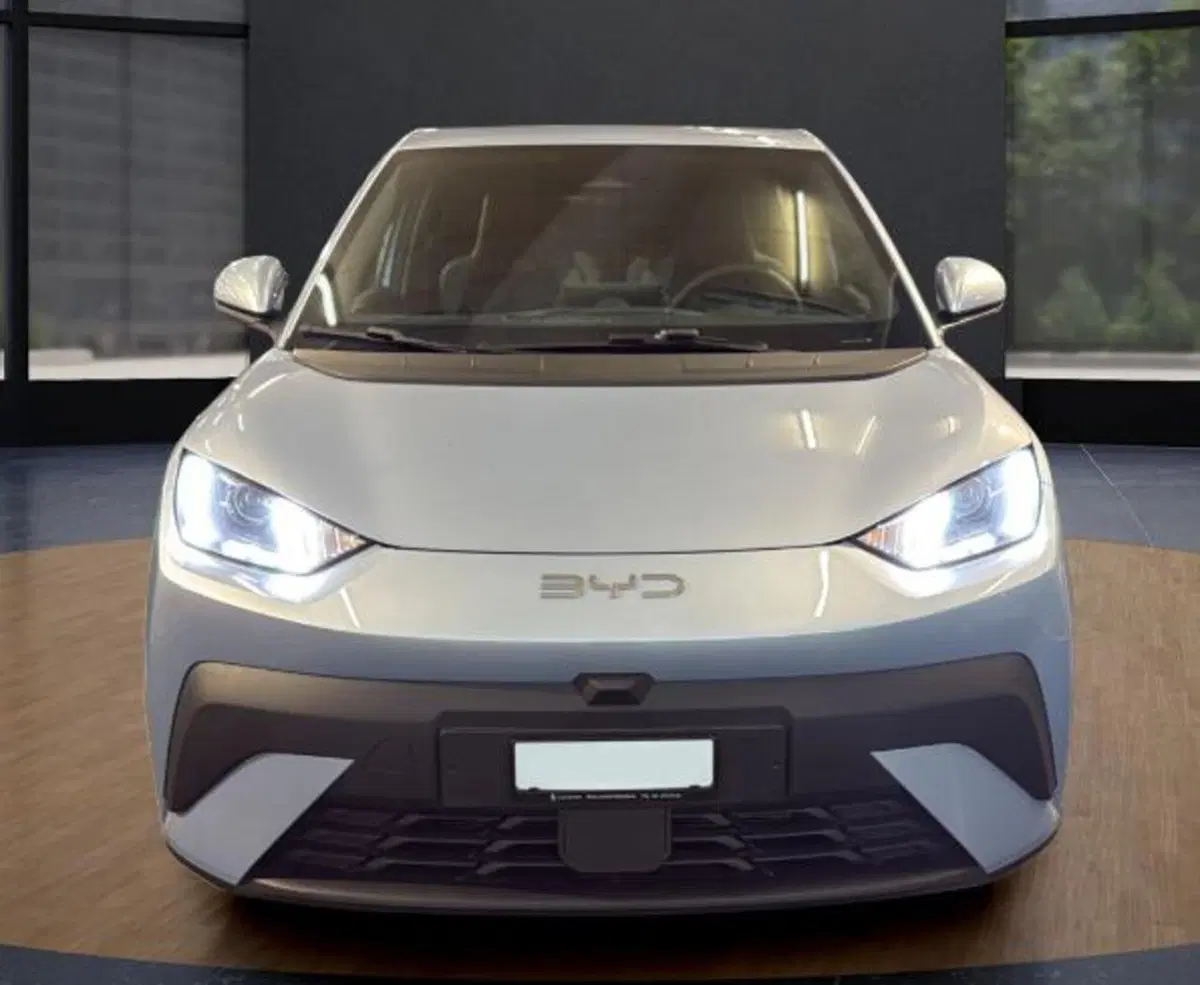 Byd Dolphin Surf nuova a Bologna (15)