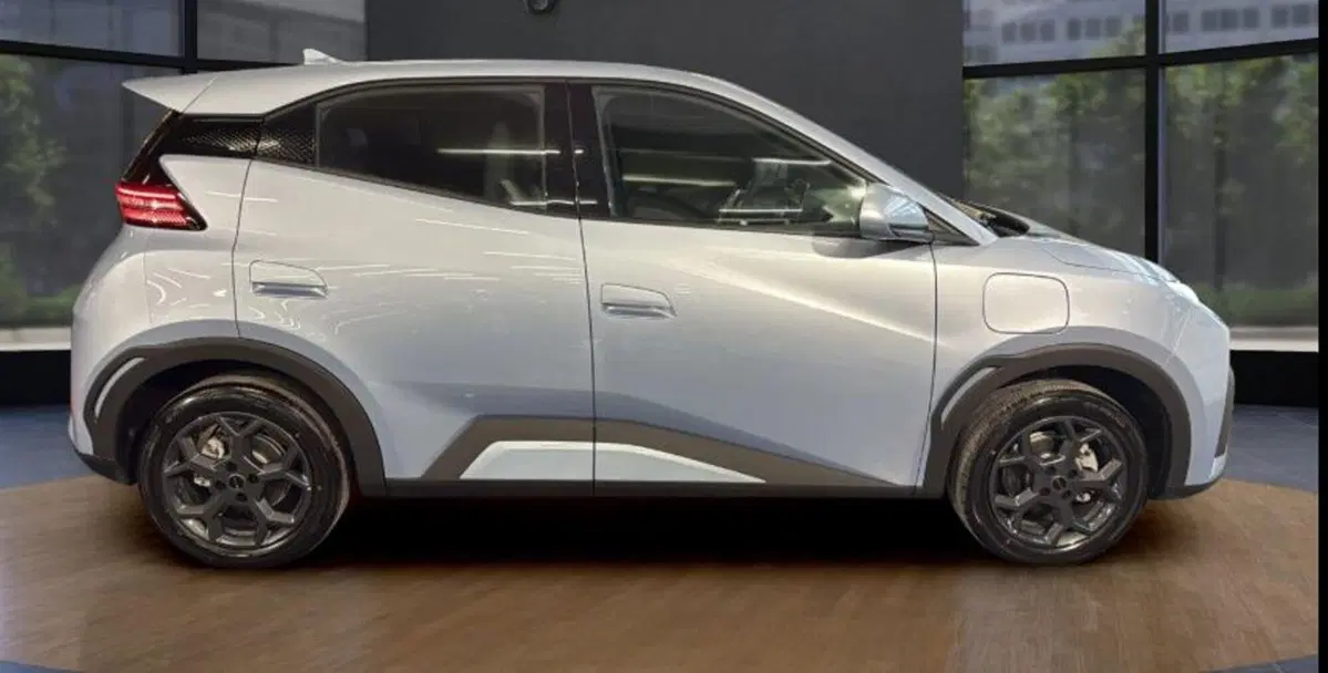 Byd Dolphin Surf nuova a Bologna (6)