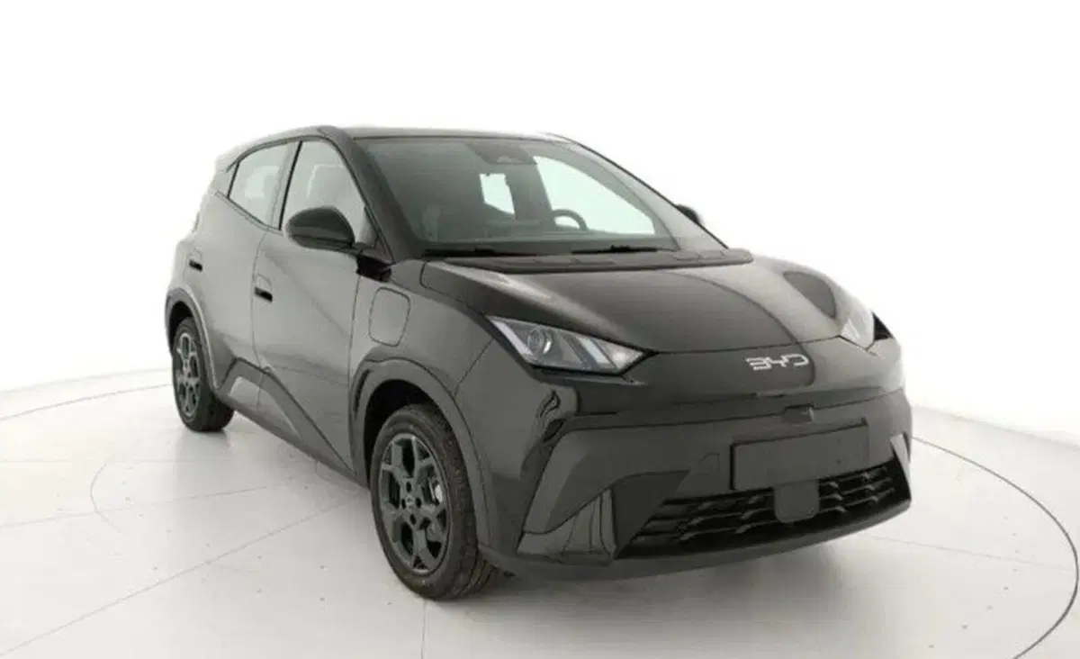 Byd Dolphin Surf nuova a Bologna (20)