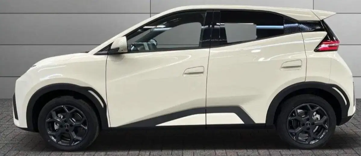 Byd Dolphin Surf nuova a Bologna (2)