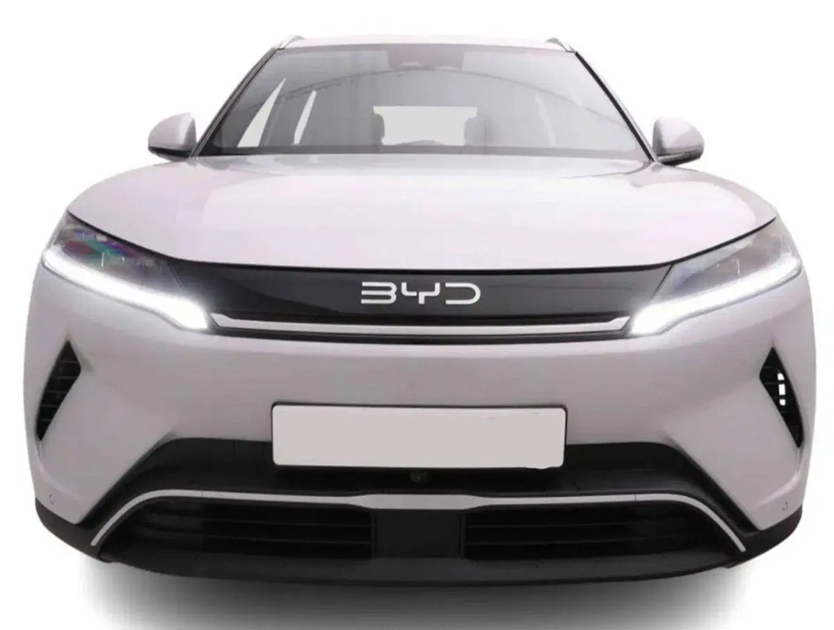 Byd Atto 2 DM-i nuova a Bologna