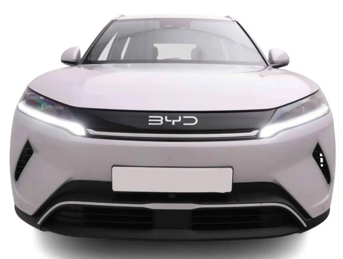 Byd Atto 2 DM-i nuova a Bologna