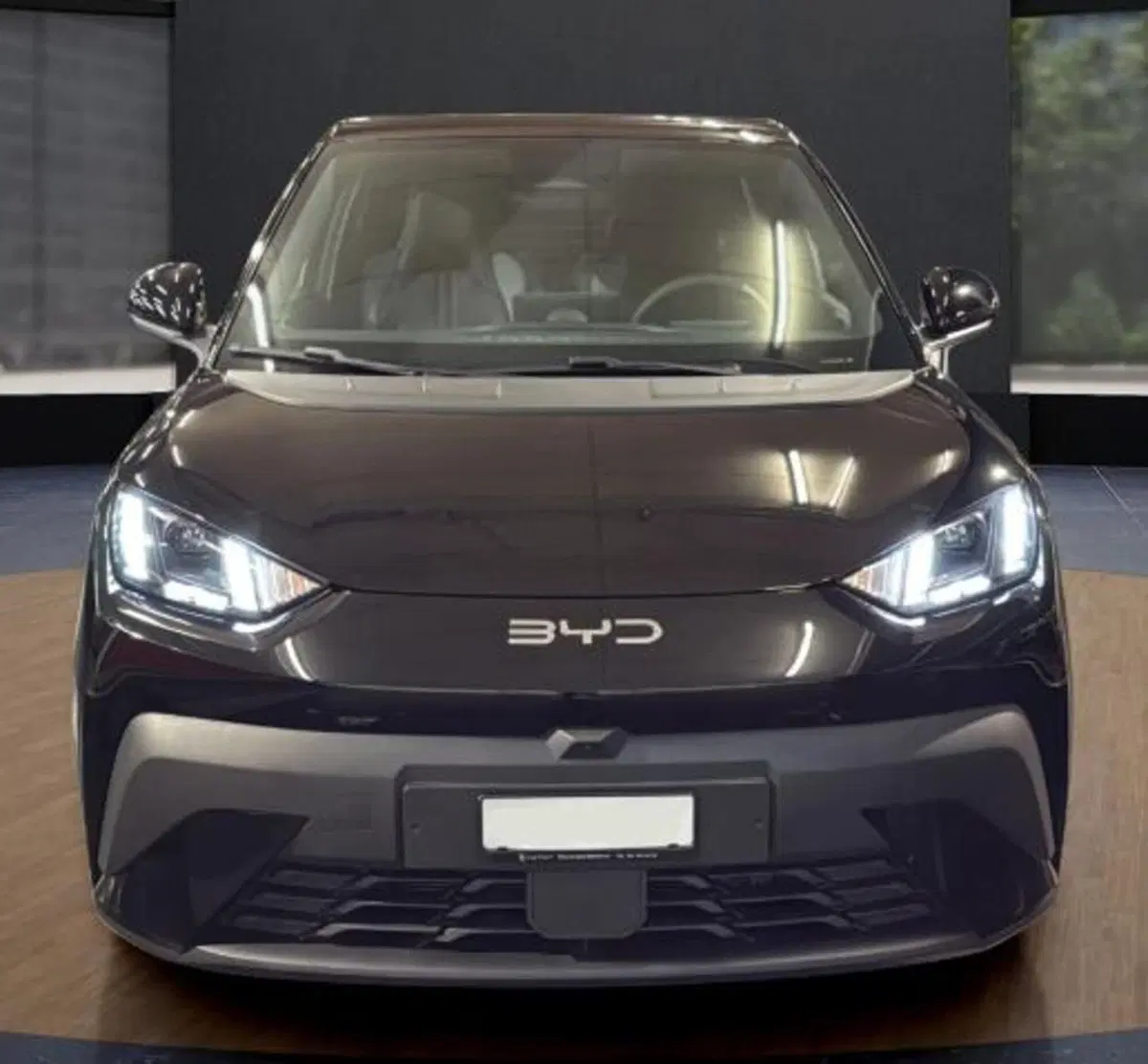 Byd Dolphin Surf nuova a Bologna