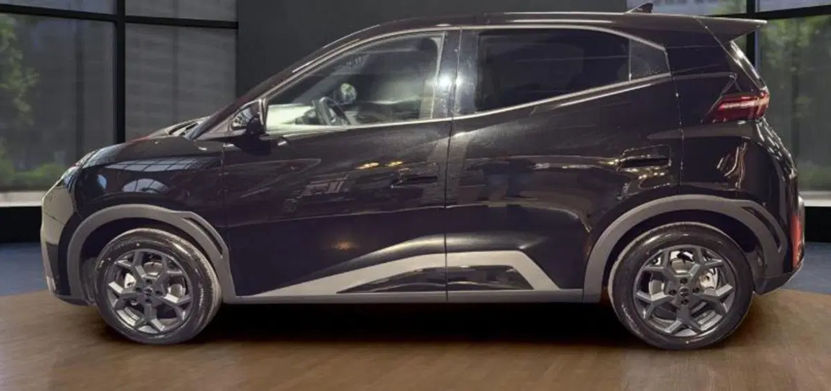 Byd Dolphin Surf nuova a Bologna (3)
