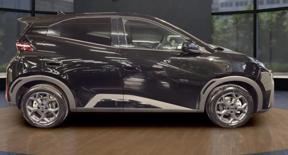 Byd Dolphin Surf nuova a Bologna (7)
