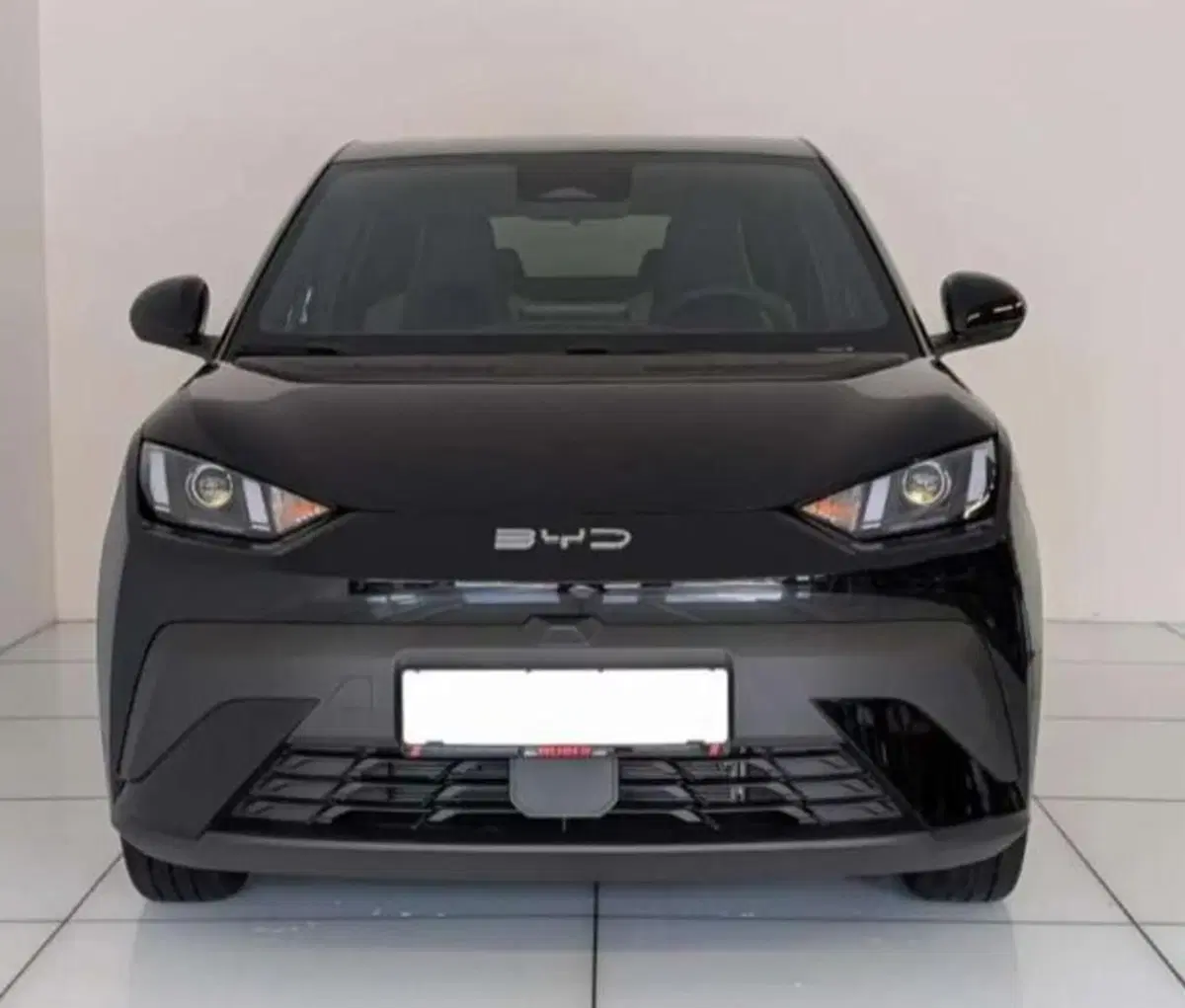 Byd Dolphin Surf nuova a Bologna