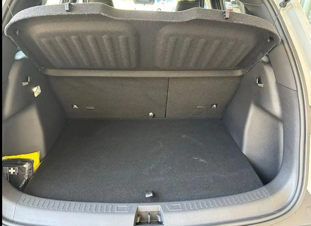 Byd Atto 2 DM-i nuova a Bologna (6)