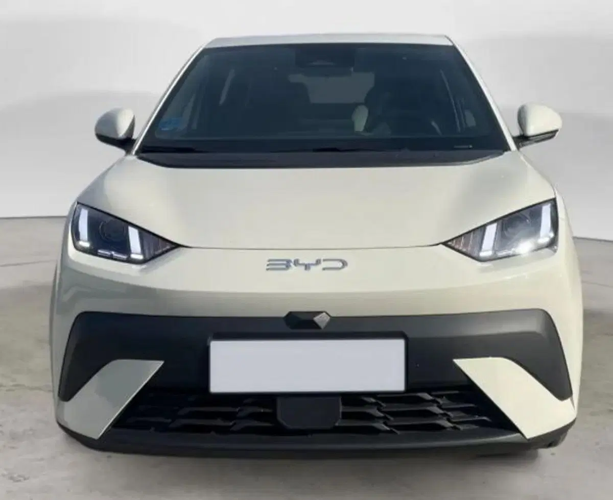 Byd Dolphin Surf nuova a Bologna