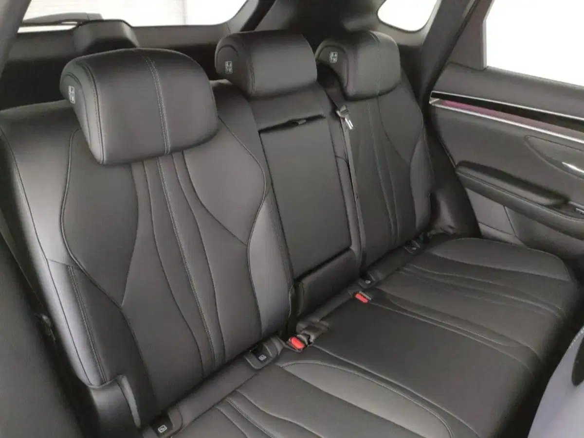 Byd Seal U DM-i nuova a Bologna (12)