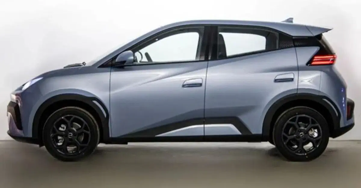 Byd Dolphin Surf nuova a Bologna (3)