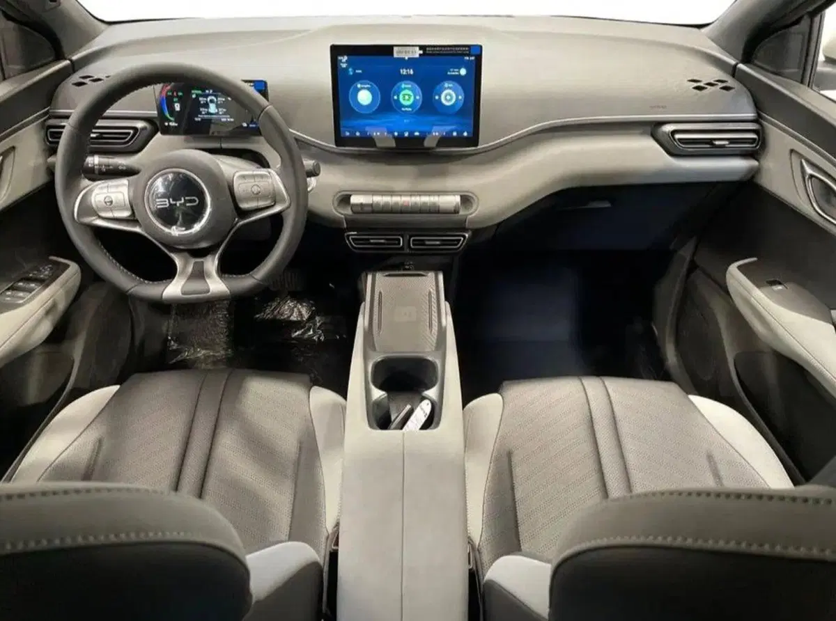 Byd Dolphin Surf nuova a Bologna (5)