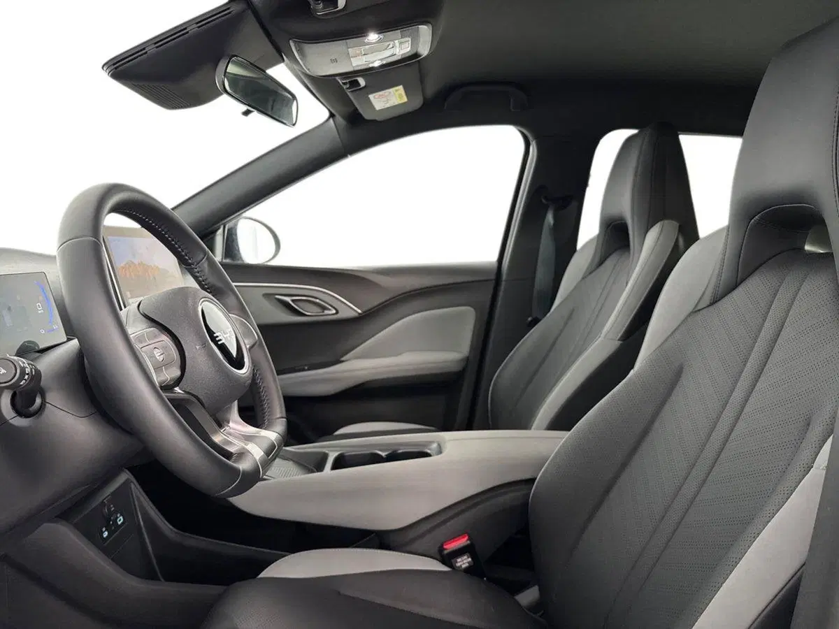 Byd Dolphin Surf usata a Bologna (12)