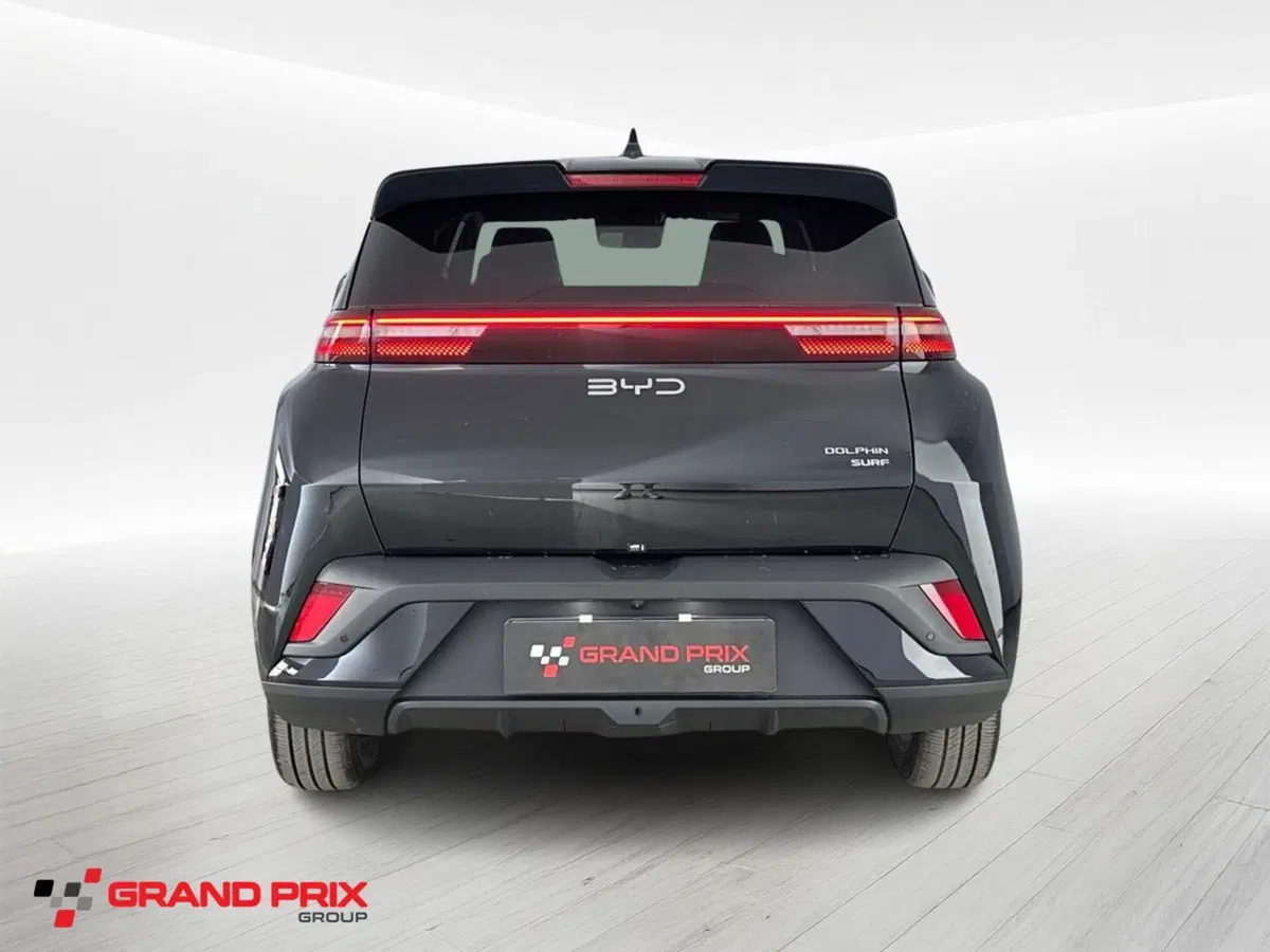 Byd Dolphin Surf usata a Bologna (5)