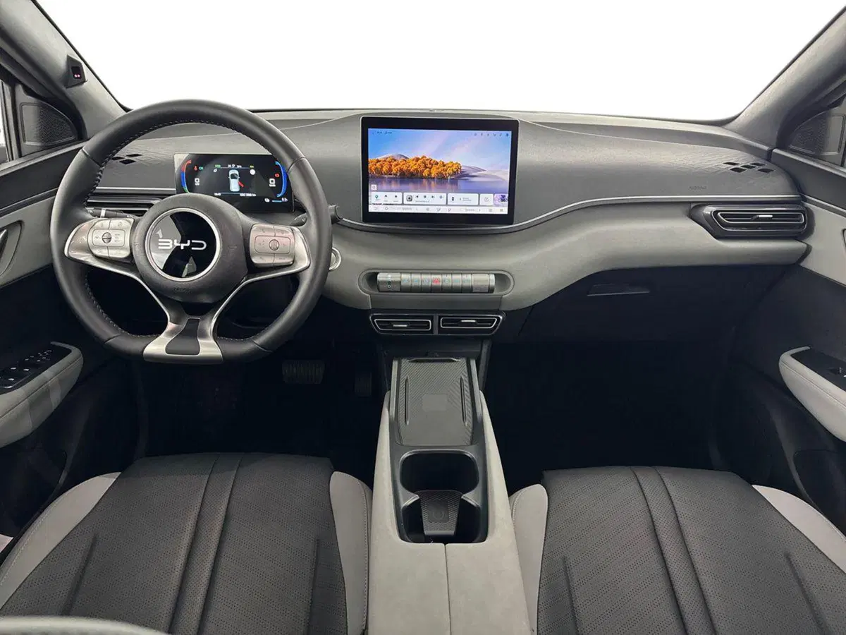 Byd Dolphin Surf usata a Bologna (9)